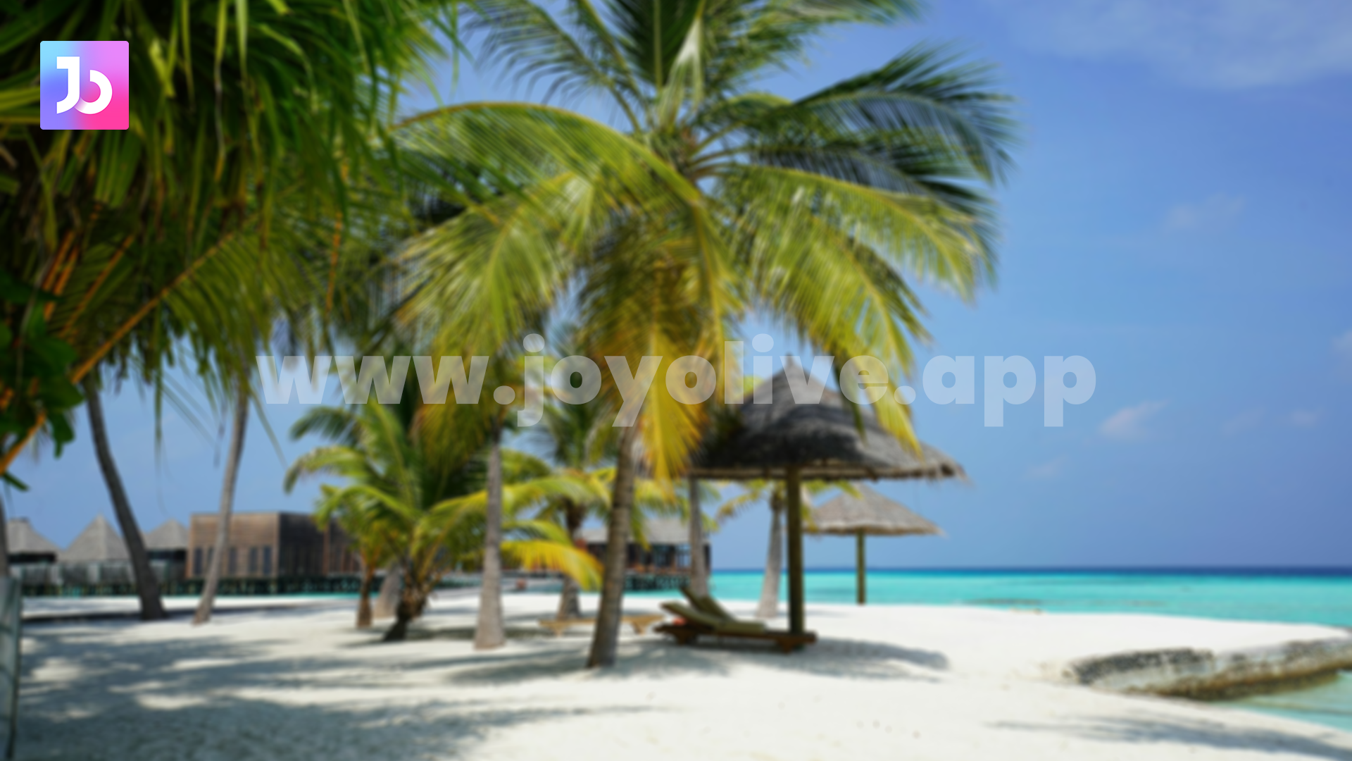 How to Properly Take a Break as Joyo Live Hosts